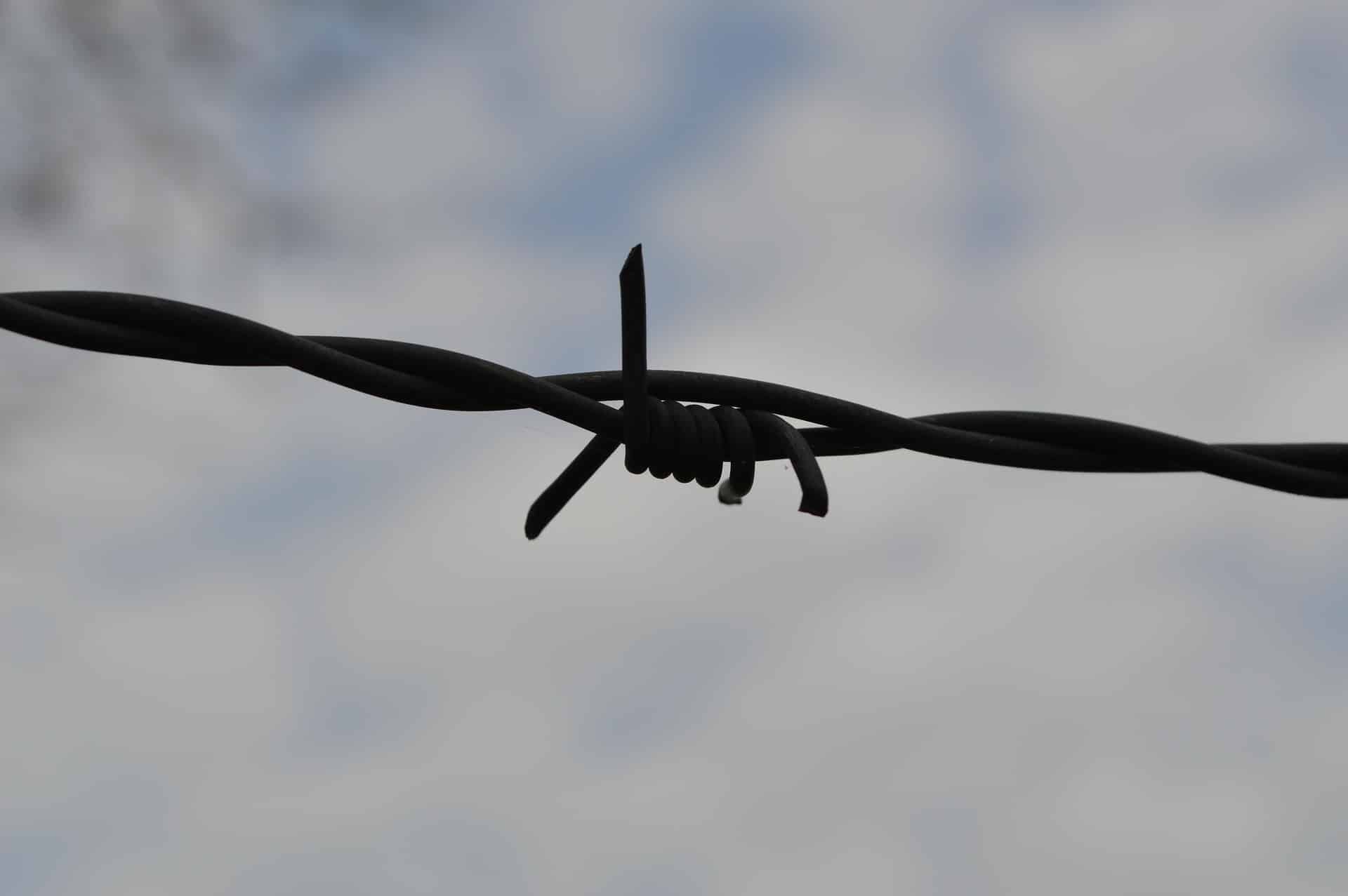 barbed-wire-377820_1920